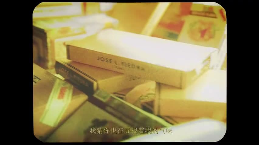 罗言《Hello 爱是怪兽》 footage 17