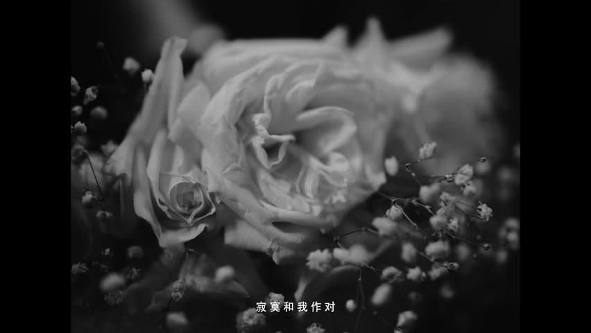 罗言《该死的泪》 footage 3