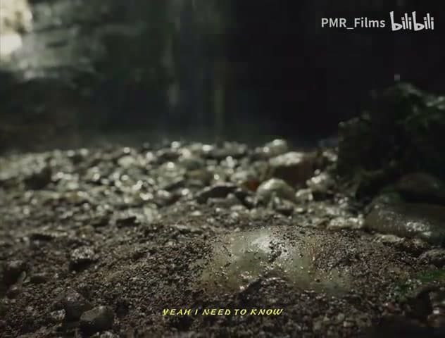 Leggo《山水画》 footage 18