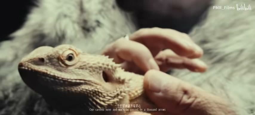 GAI 周延《茉莉花》 footage 4