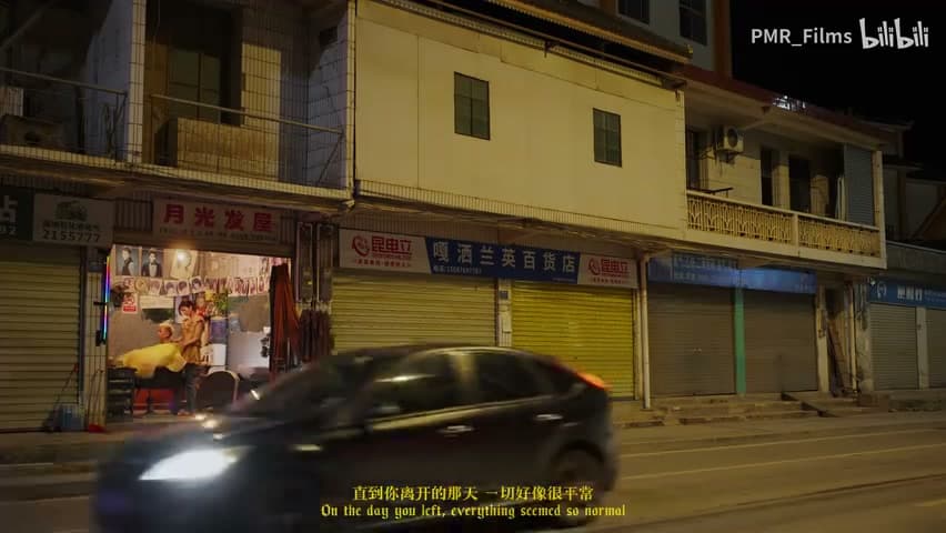 徐真真/火枪《想你的时候会想起大理》 footage 10