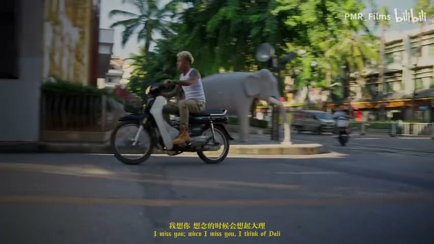 徐真真/火枪《想你的时候会想起大理》 footage 11