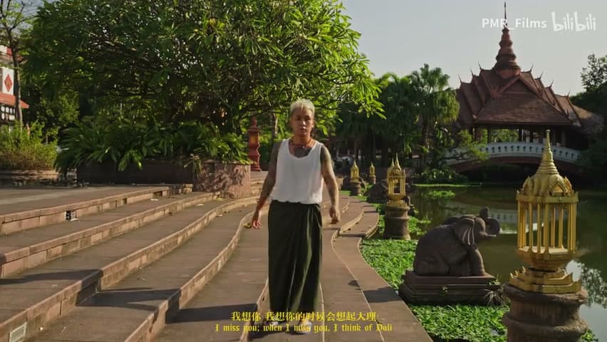 徐真真/火枪《想你的时候会想起大理》 footage 28