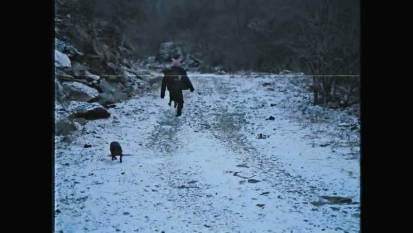 罗言《孤独满月球》 footage 20