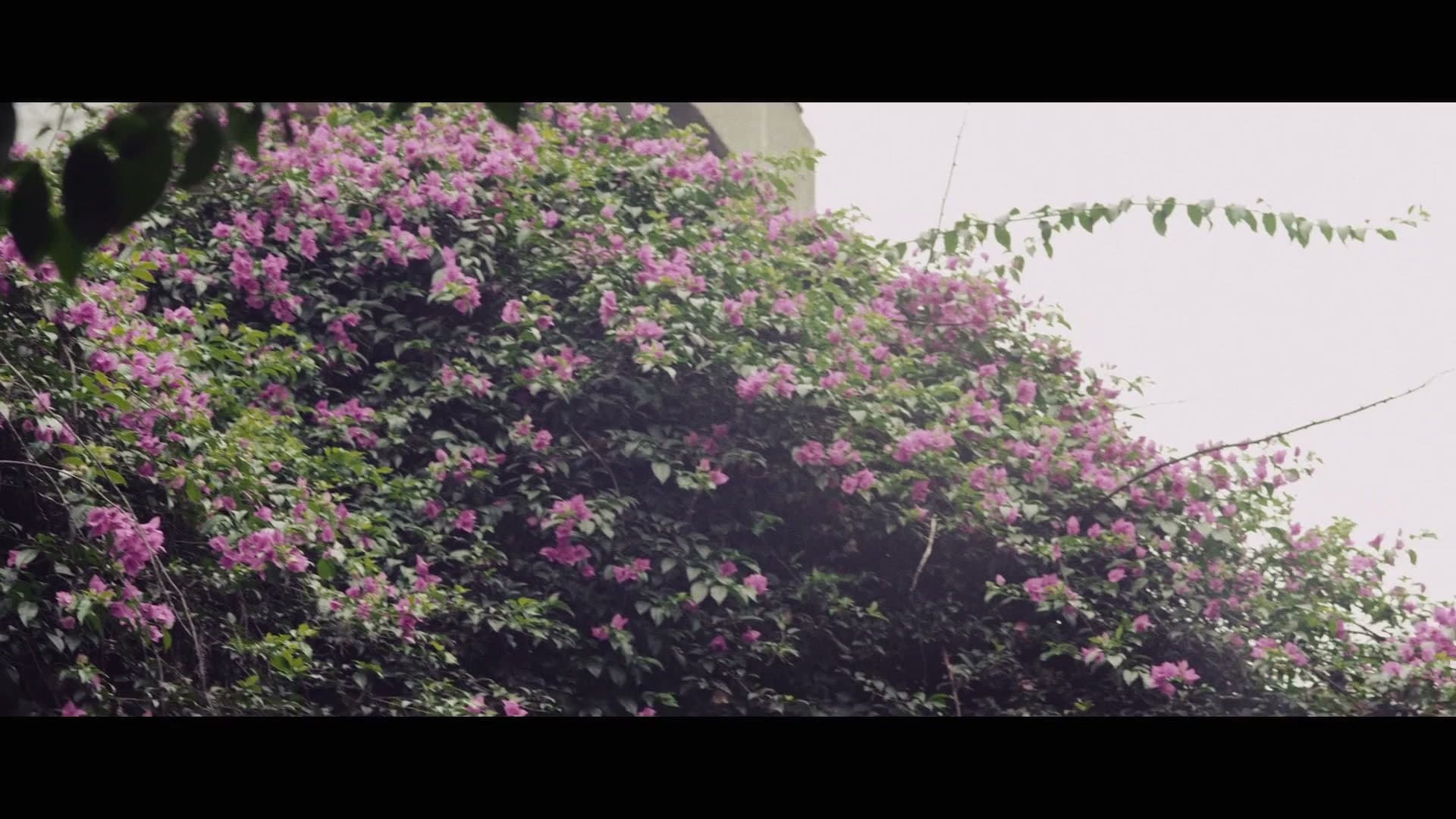 剧情短片《艾司唑仑》 footage 9