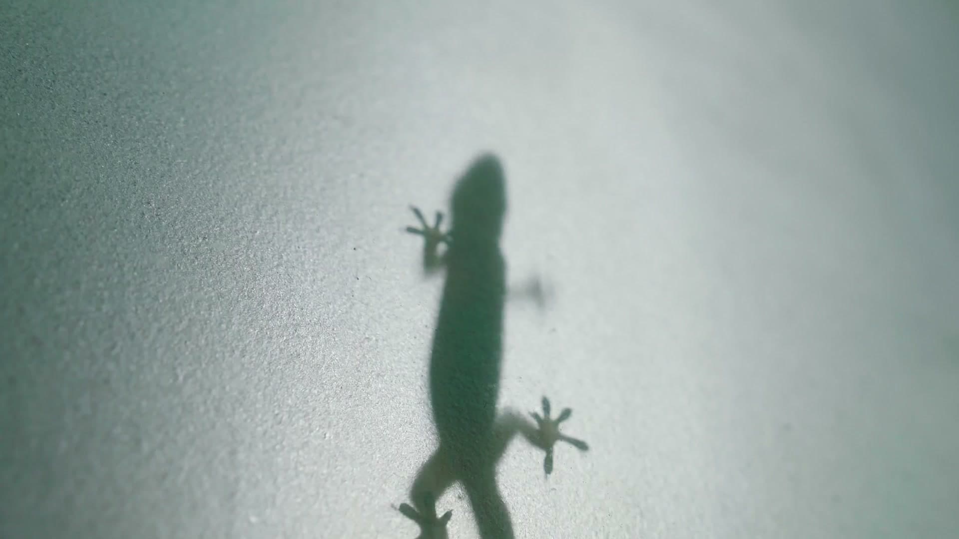 25岁无房无存款，只有一台10年的福克斯ST，但我每天开心得飞起！ footage 15