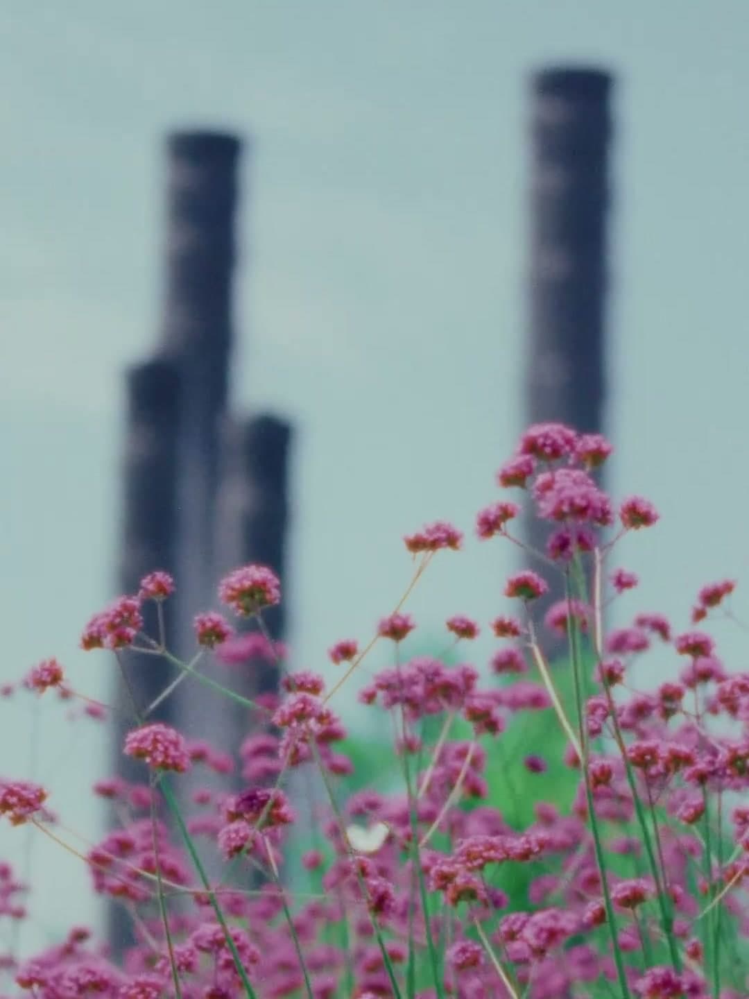 LOVE IS LOVE | 成都SKP"520"(DC) footage 6