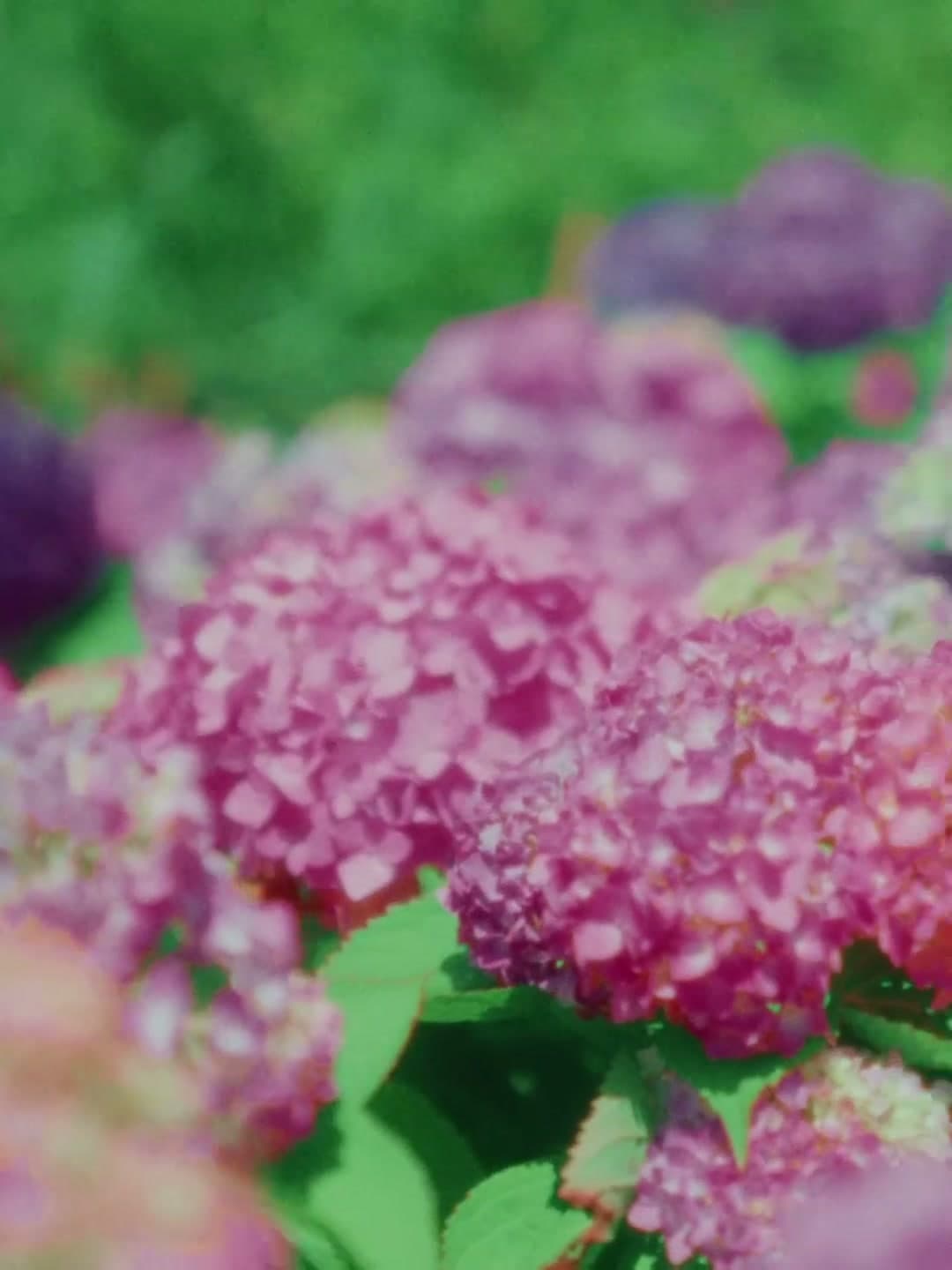 LOVE IS LOVE | 成都SKP"520"(DC) footage 8