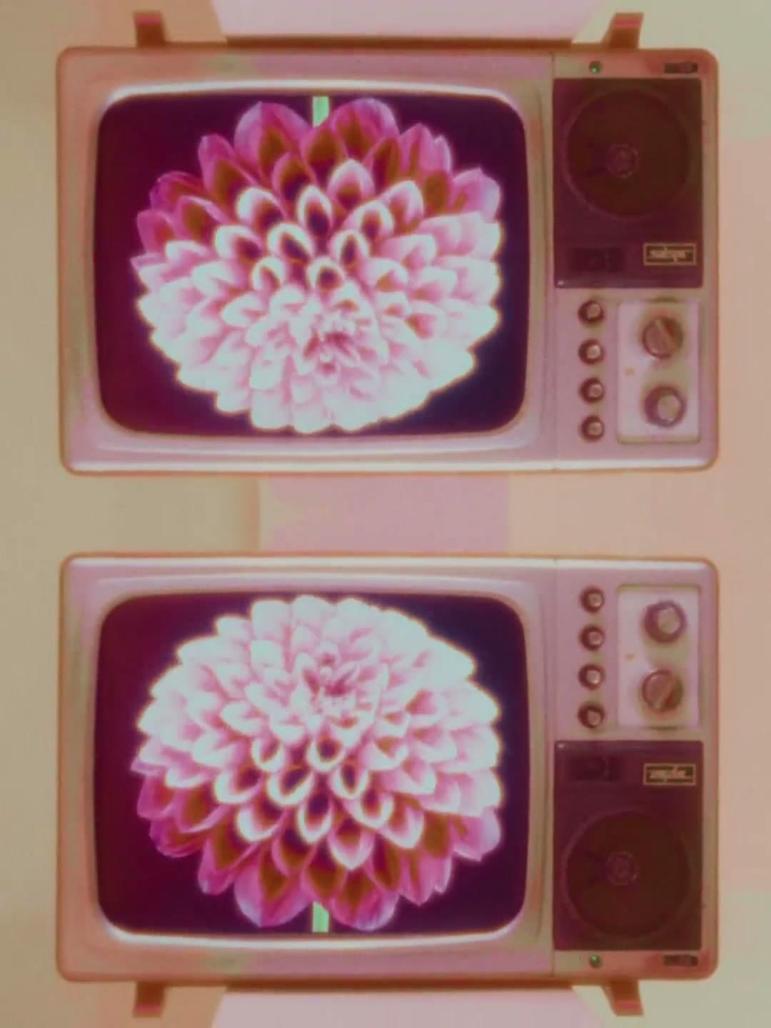 LOVE IS LOVE | 成都SKP"520"(DC) footage 12