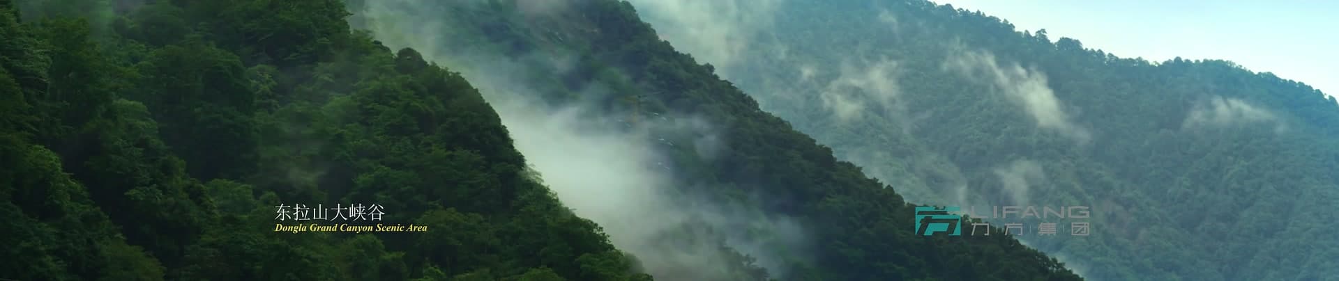 《大熊猫国家公园》-宝兴溯源篇 footage 10