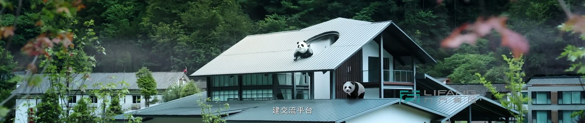 《大熊猫国家公园》-宝兴溯源篇 footage 28