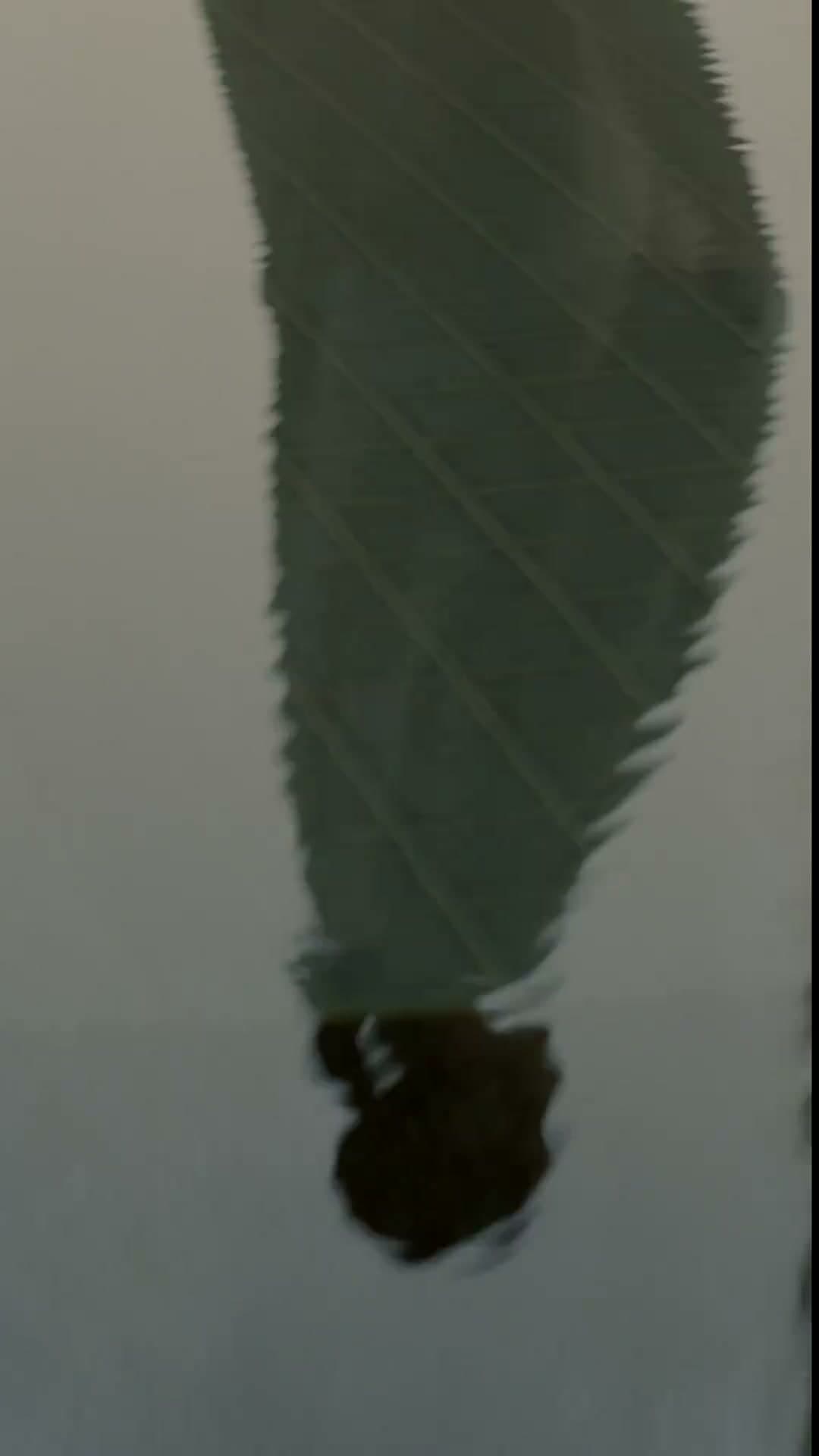 瑰丽酒店Rosewood footage 12