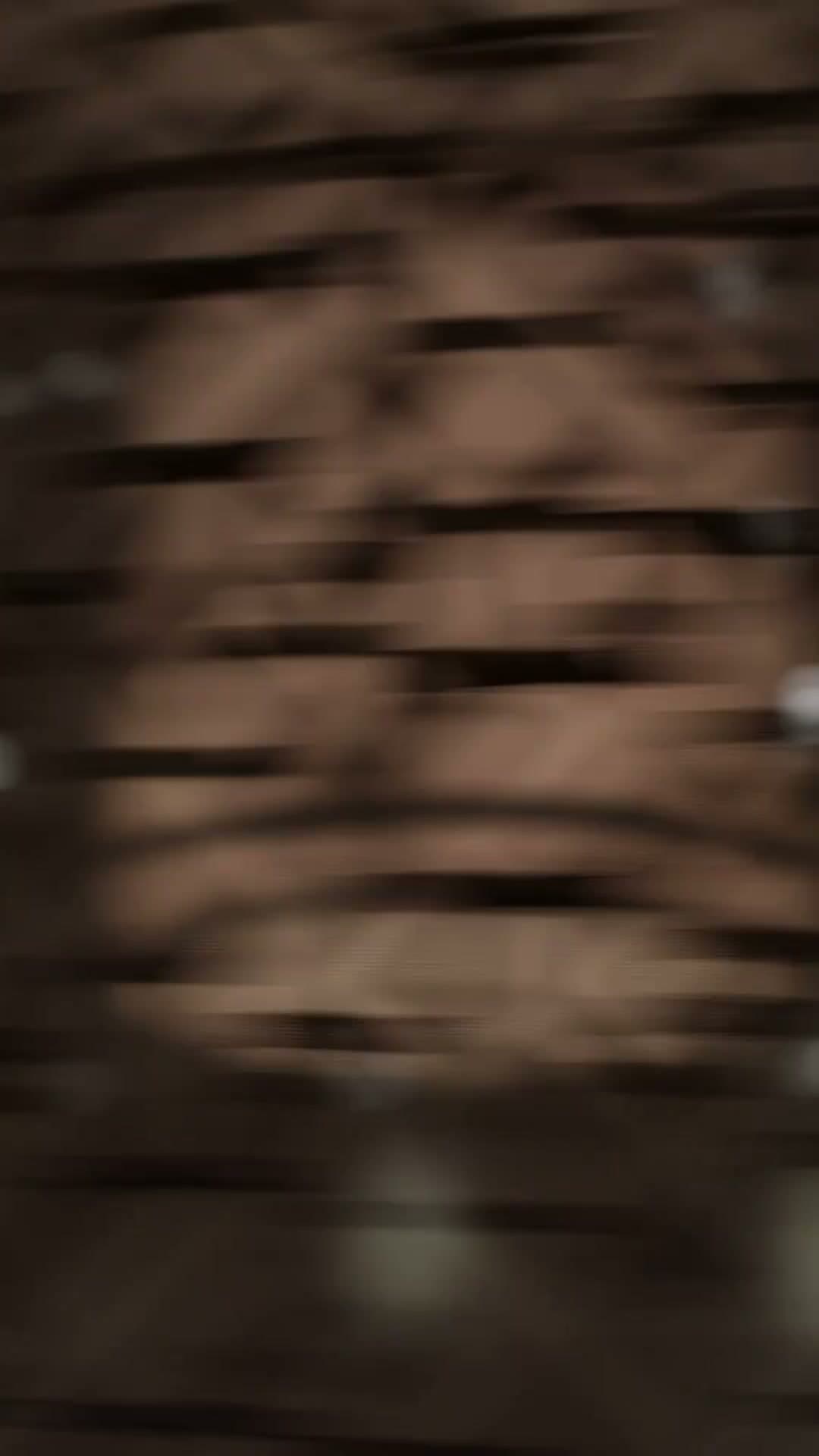 瑰丽酒店Rosewood footage 14