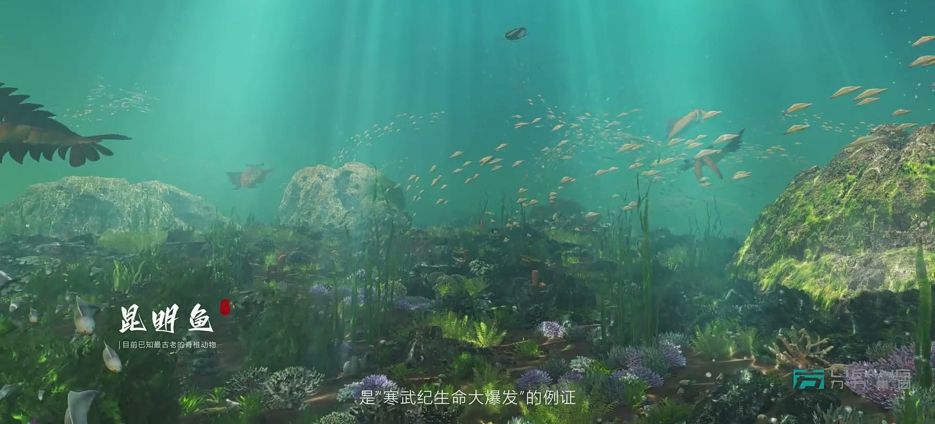 非遗映玉溪 文脉耀千古|玉溪非物质文化遗产展示馆 footage 5