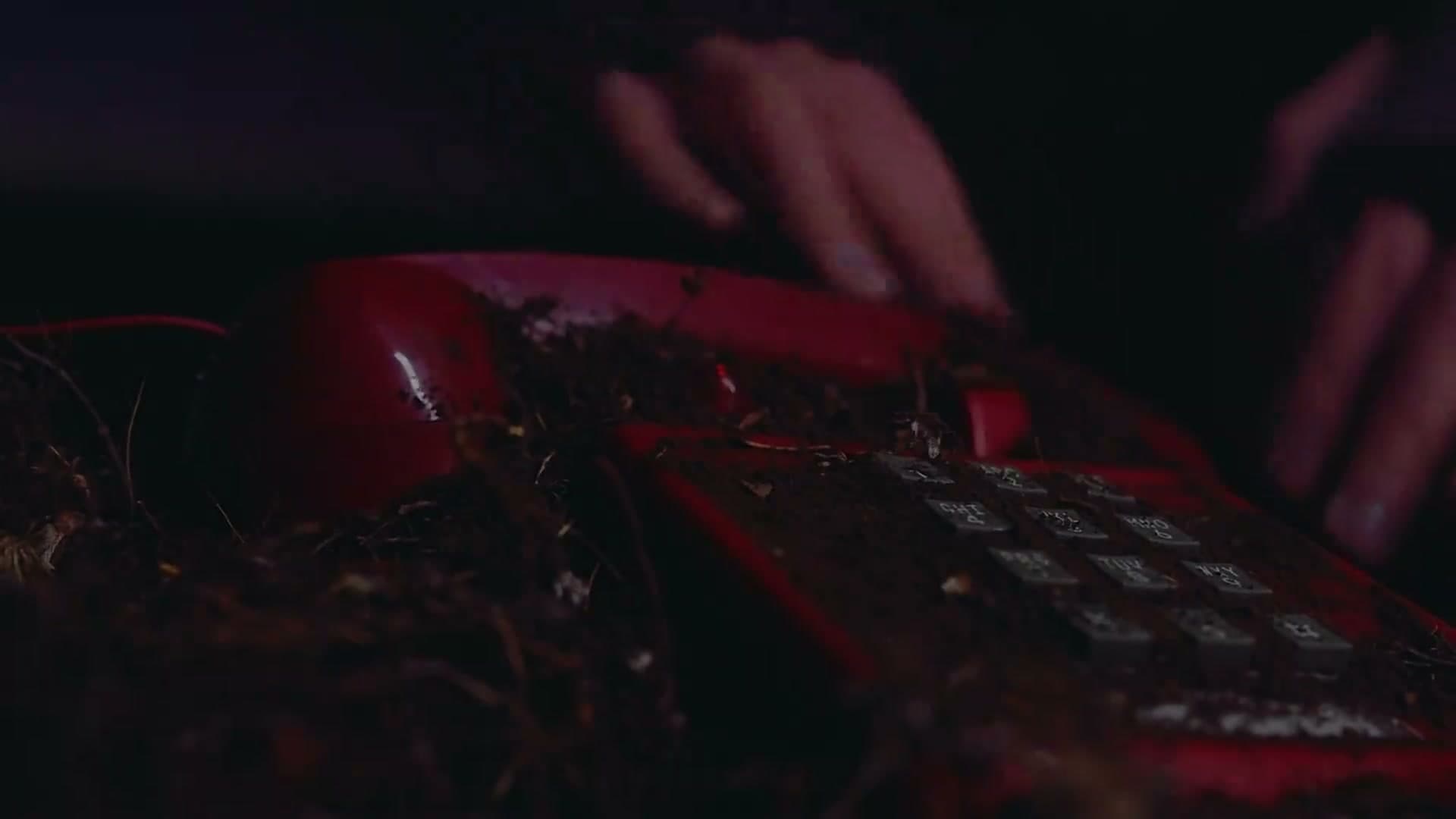 冬天来临的那一刻-Dir cut footage 4