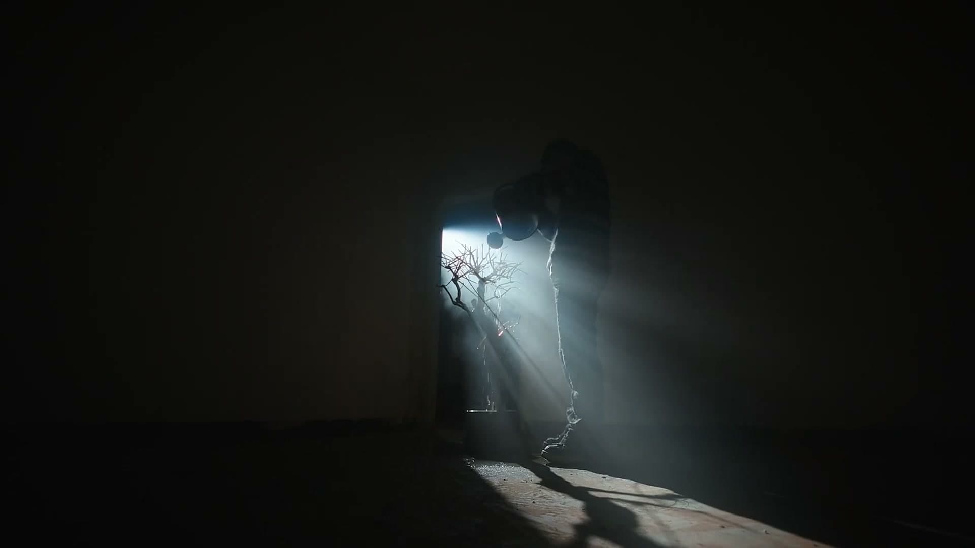 Skii-Dir cut彩色 footage 3