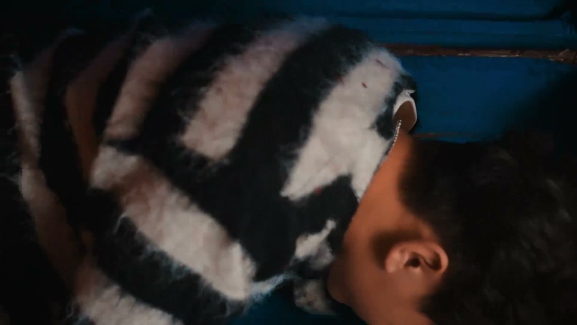 Skii-Dir cut彩色 footage 28