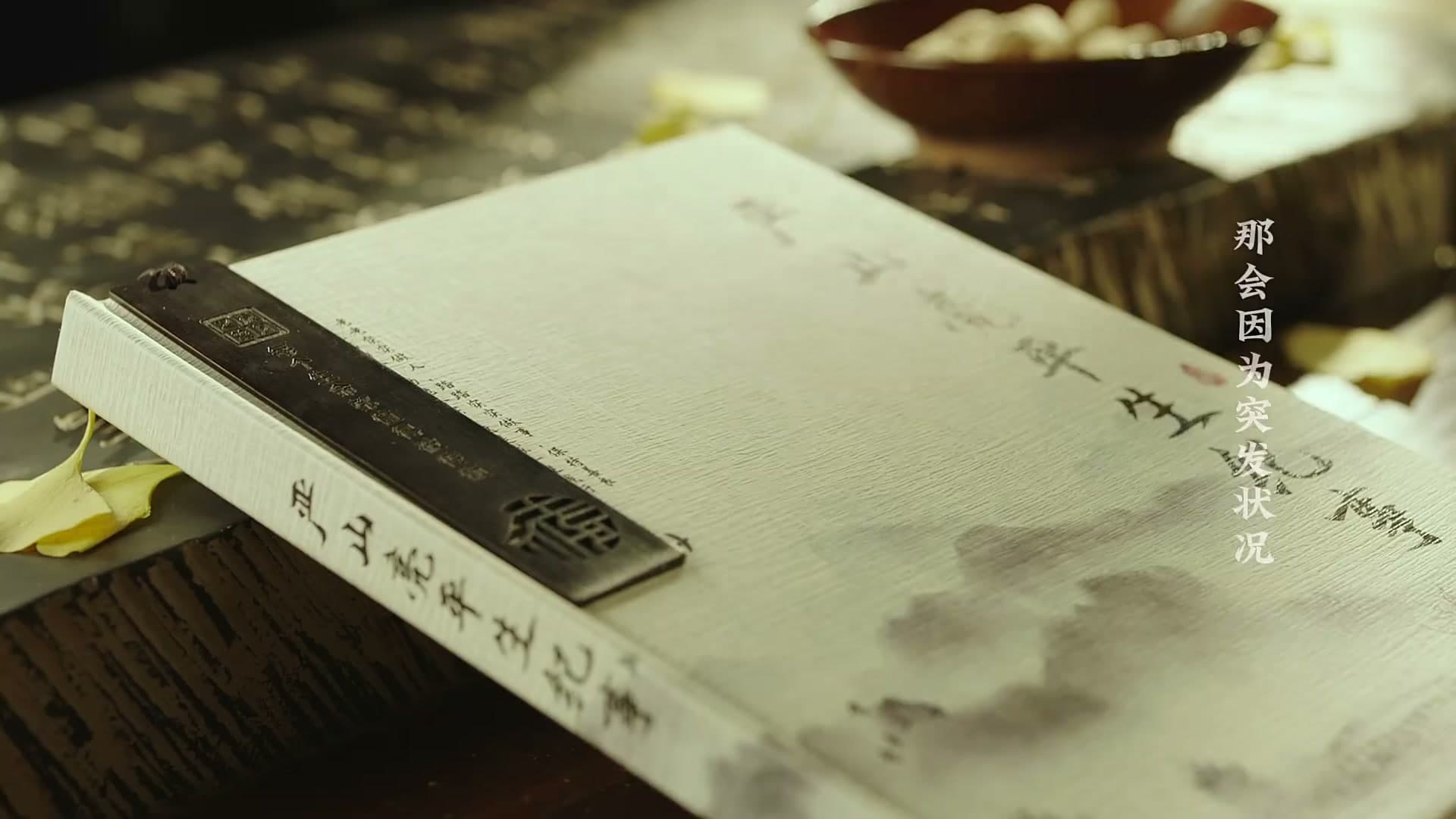 《家书》——每个生命都值得被传颂 footage 11