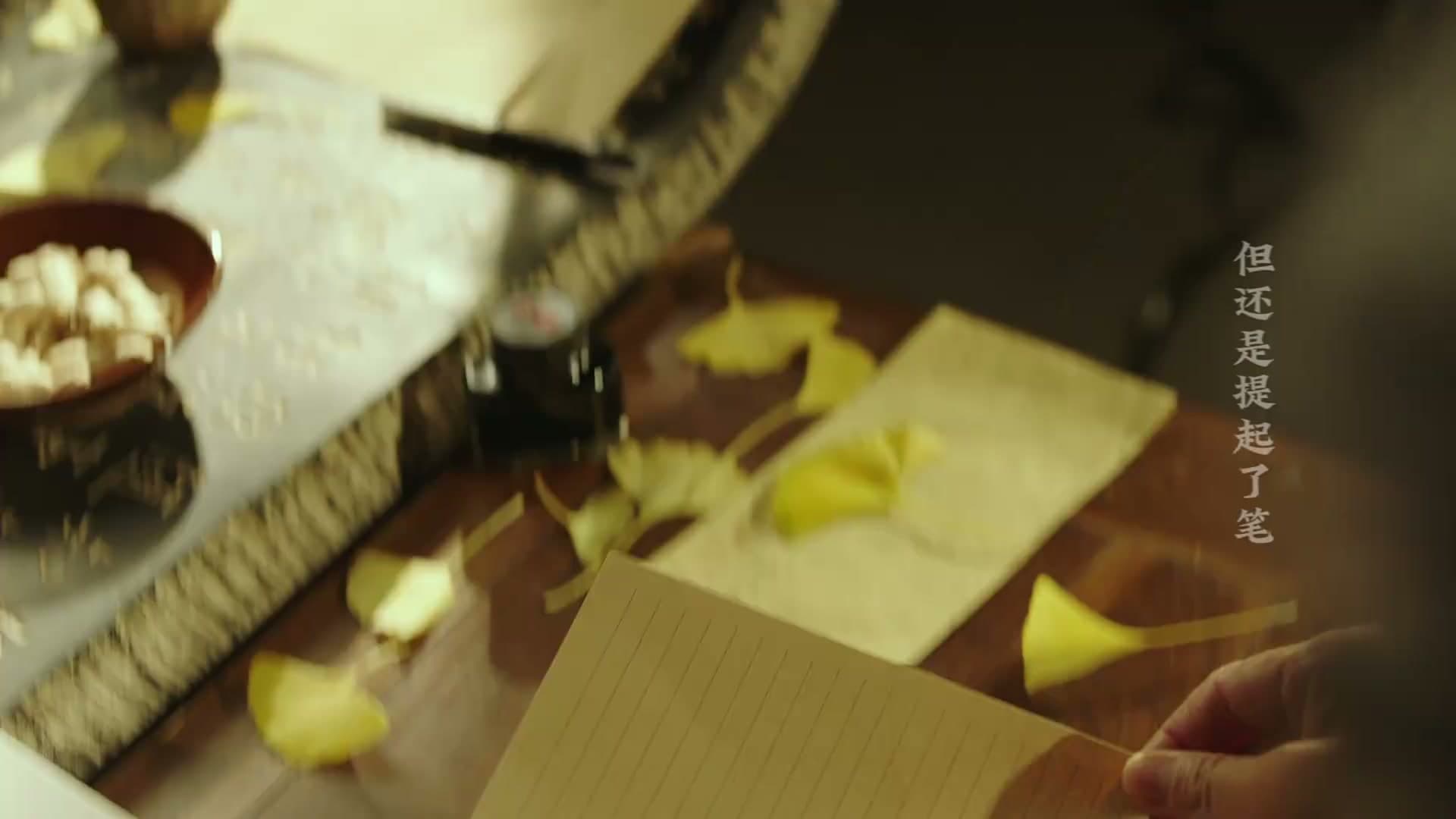 《家书》——每个生命都值得被传颂 footage 14