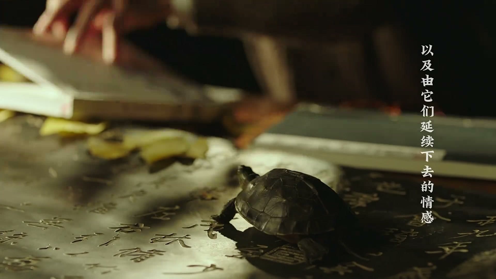 《家书》——每个生命都值得被传颂 footage 21