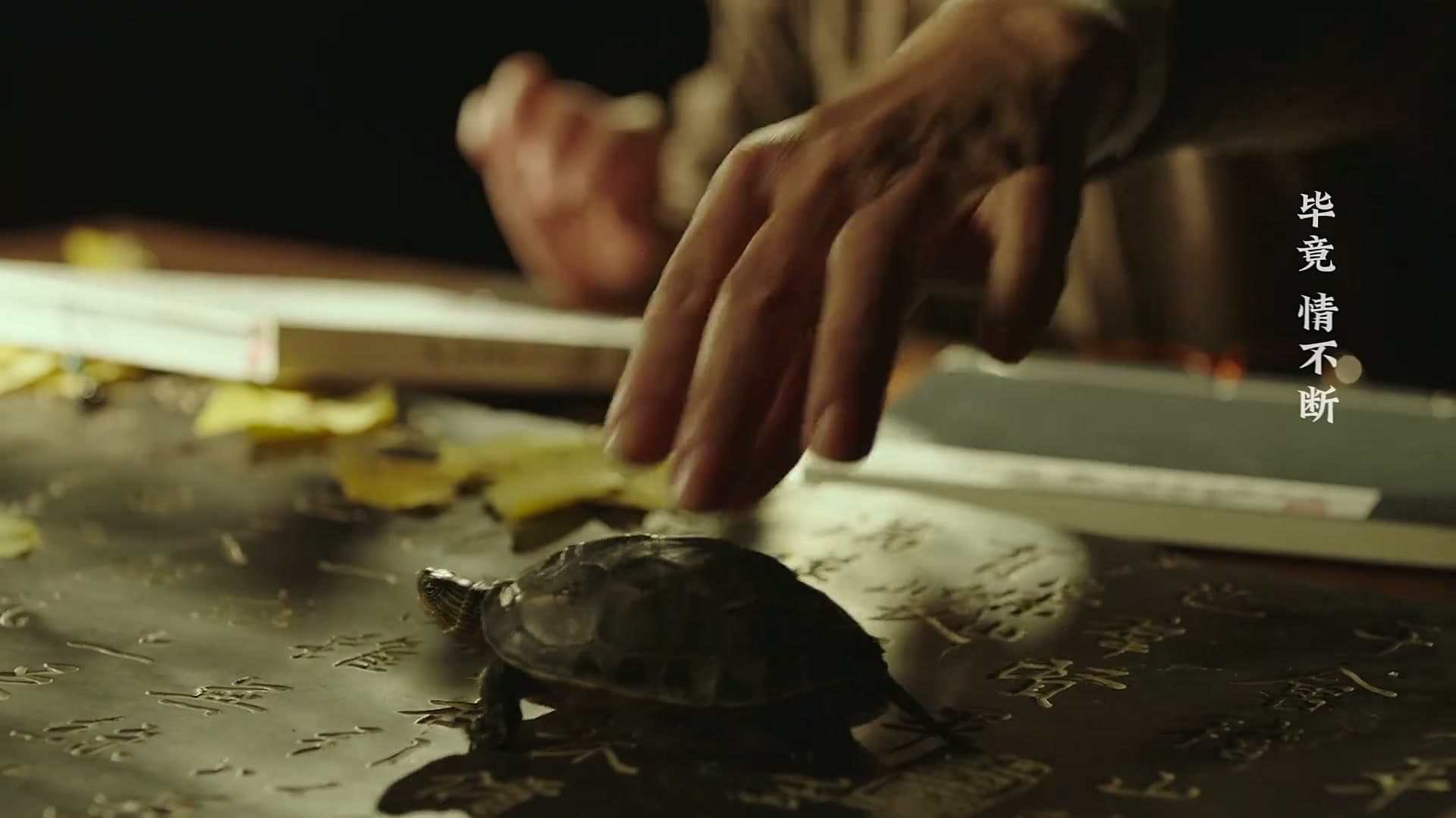 《家书》——每个生命都值得被传颂 footage 22