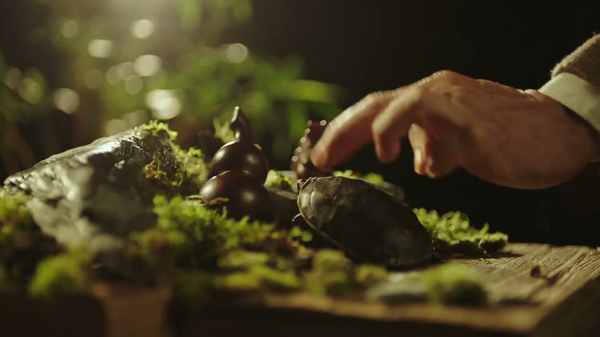 《家书》——每个生命都值得被传颂 footage 23