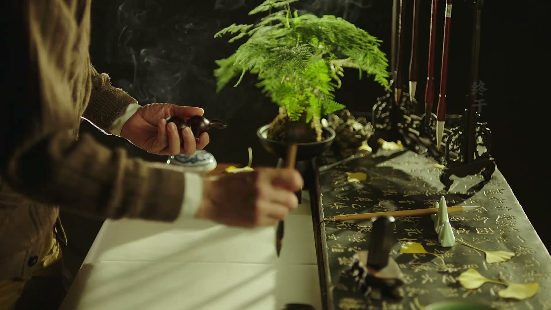 《家书》——每个生命都值得被传颂 footage 26