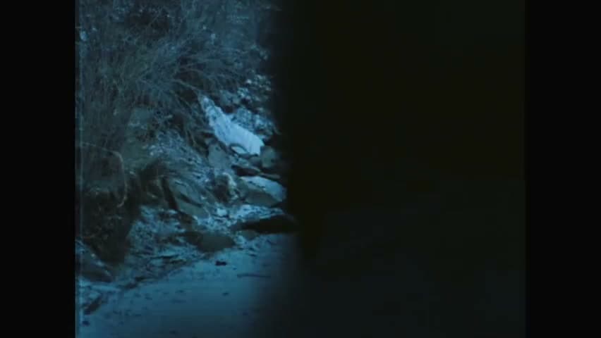 罗言《孤独满月球》