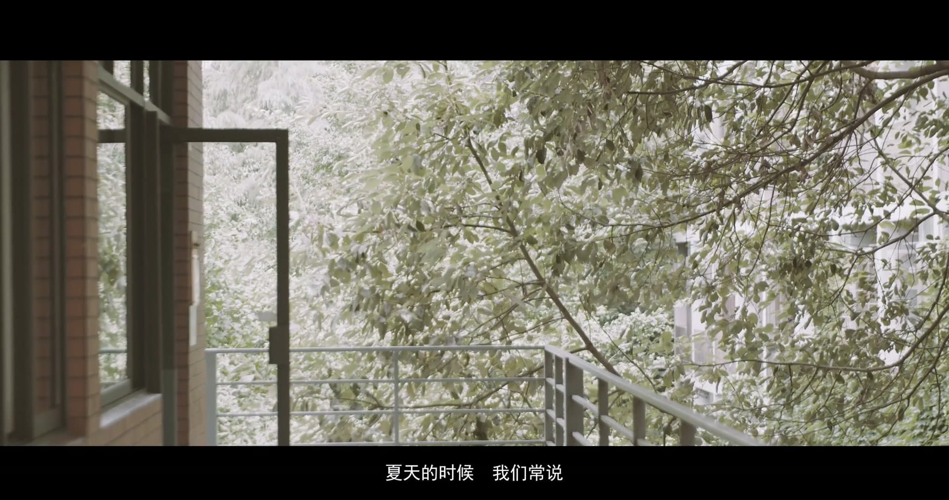 成都市龙泉驿区人民检察院指南针禁毒志愿队宣传片