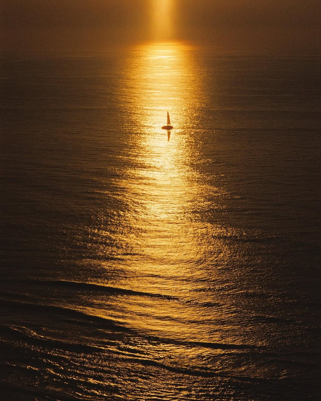 Jin He - DP & Gaffer